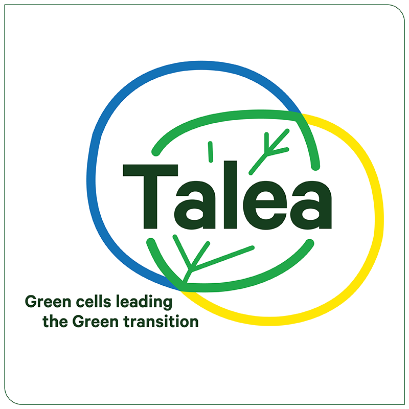 TALEA TALEA