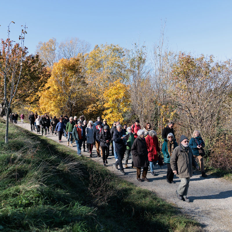 Camminare insieme nel parco – Fondazione IU Rusconi Ghigi Camminare insieme nel parco - Fondazione IU Rusconi Ghigi