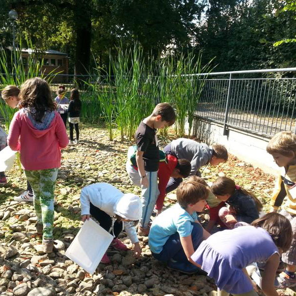 PARCO GROSSO - Fondazione IU Rusconi Ghigi