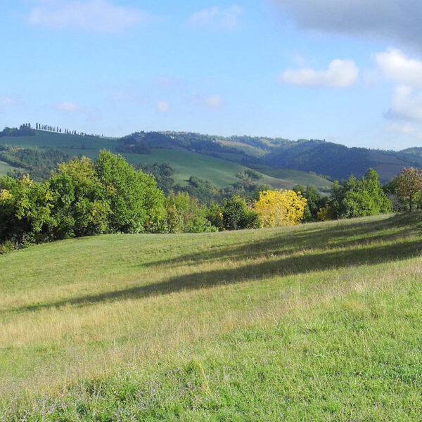 PRATI DI MUGNANO - Fondazione IU Rusconi Ghigi