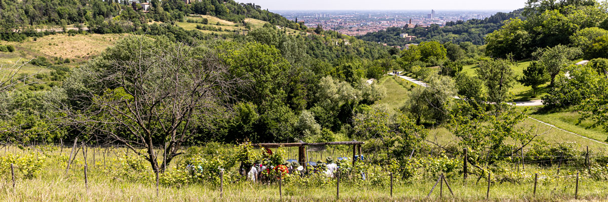 Vista della citta di Bologna - Fondazione IU Rusconi Ghigi