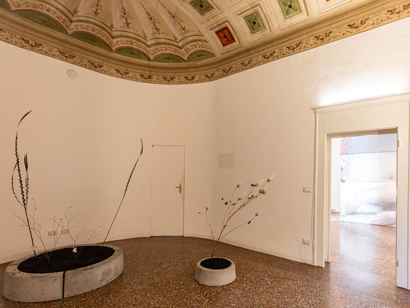 Places PETRONI