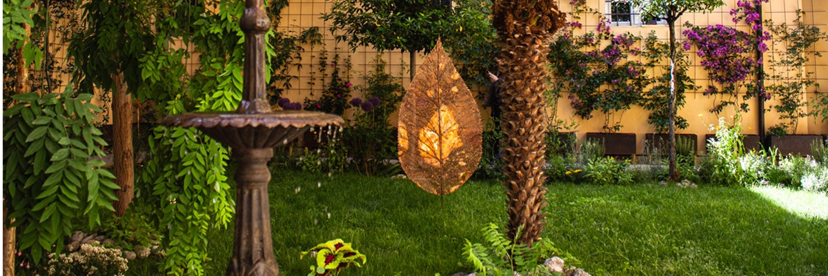 foto di un giardino