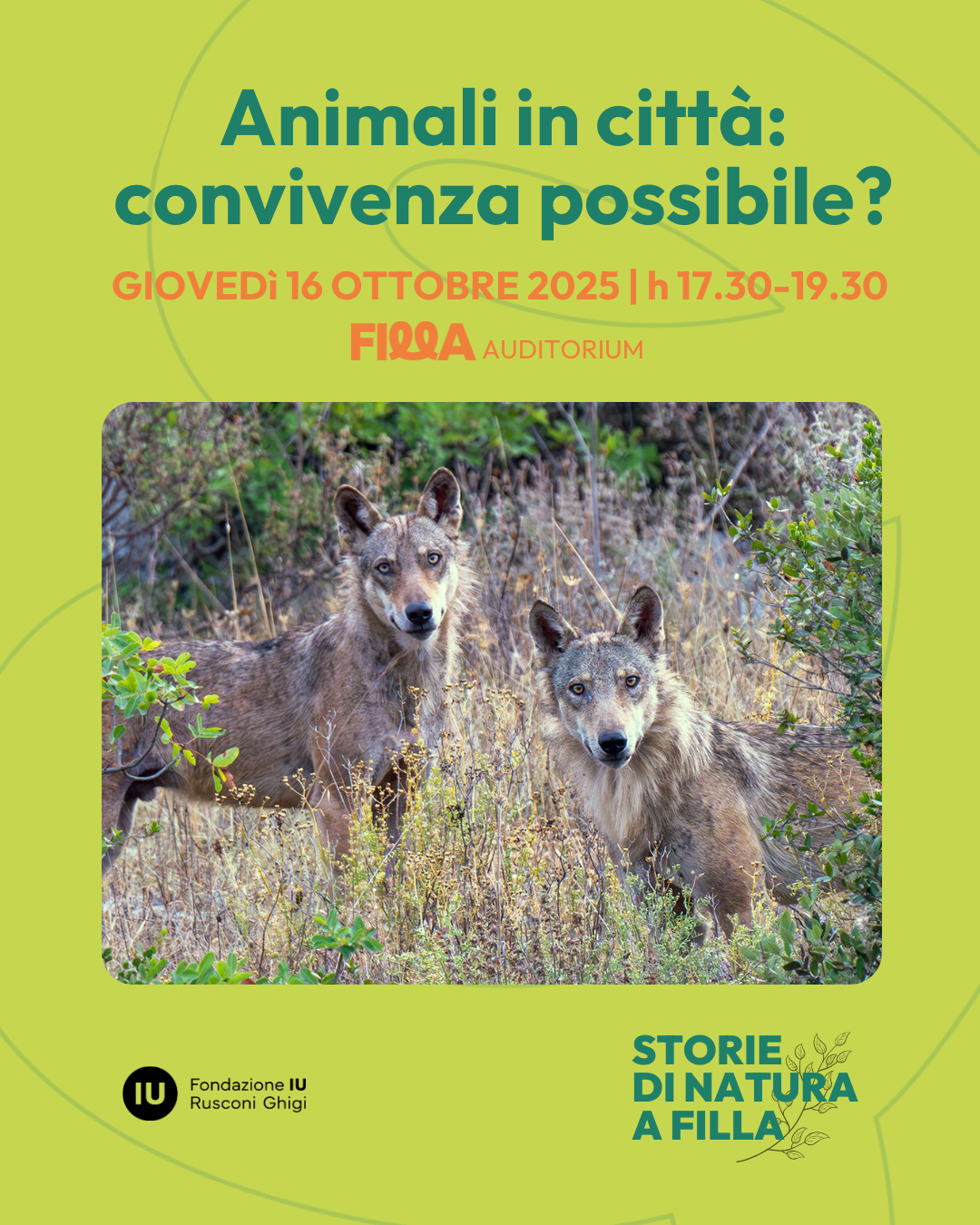 Animali in città, convivenza possibile?